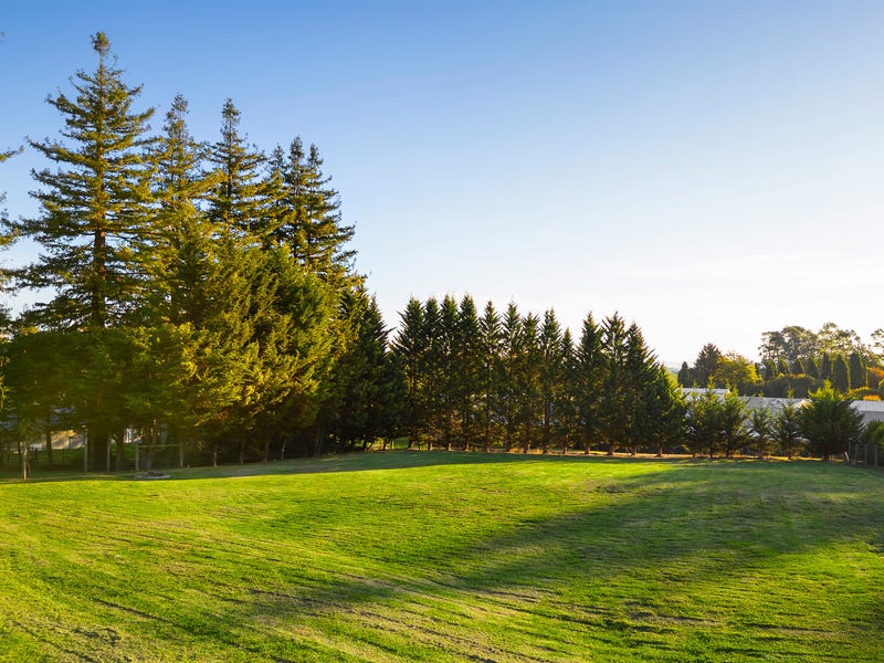 Gracemont: established gardens