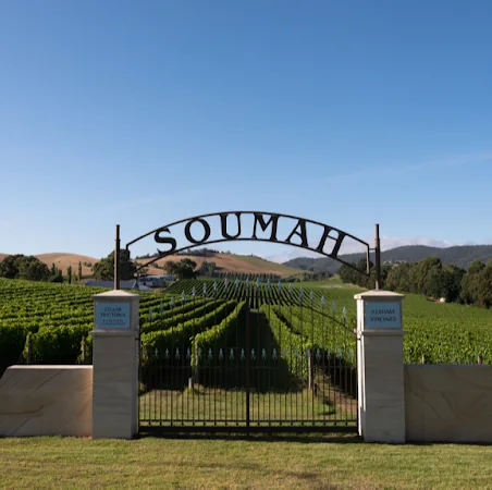 Soumah vineyard in the Yarra Valley
