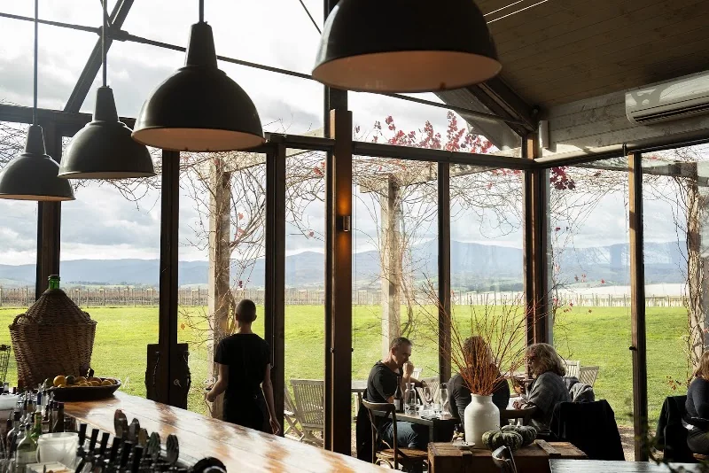 Meletos dining room overlooking the vineyards