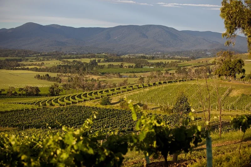 Yarra Yering