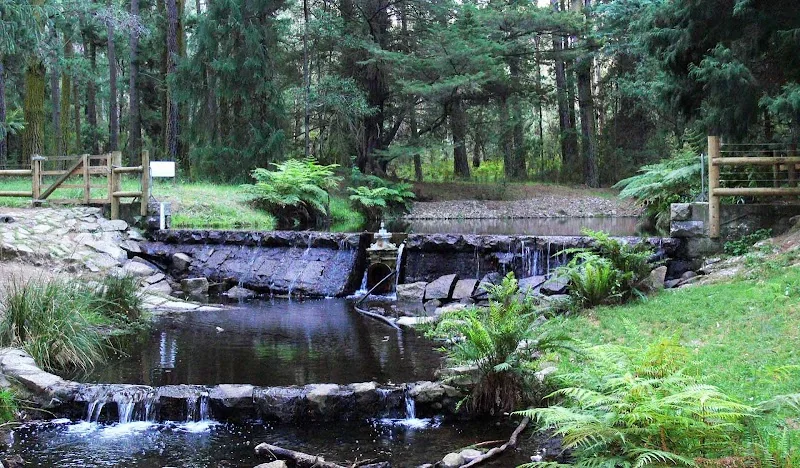 Donnellys Weir Picnic Area