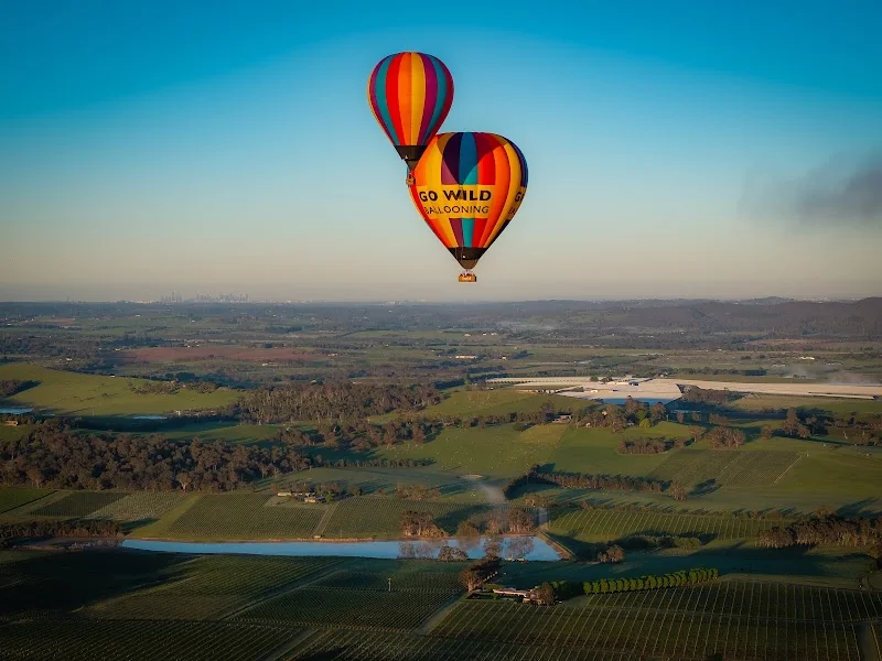 Go Wild Ballooning