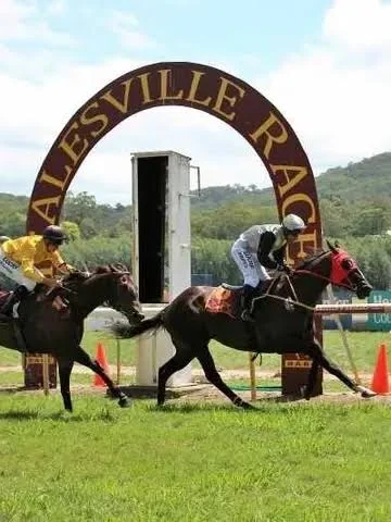 Horses and jockeys racing past the Healesville Racecourse arch